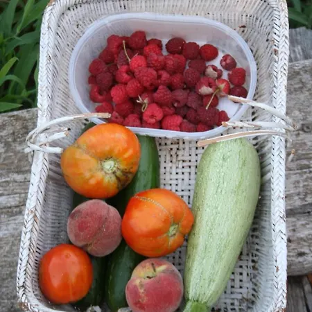 Di Sognu Holiday home *