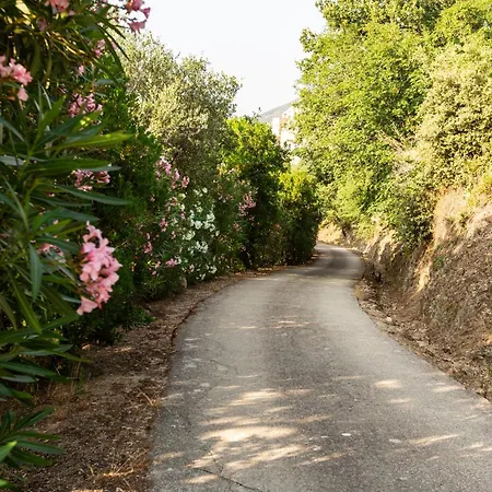 Di Sognu Costa