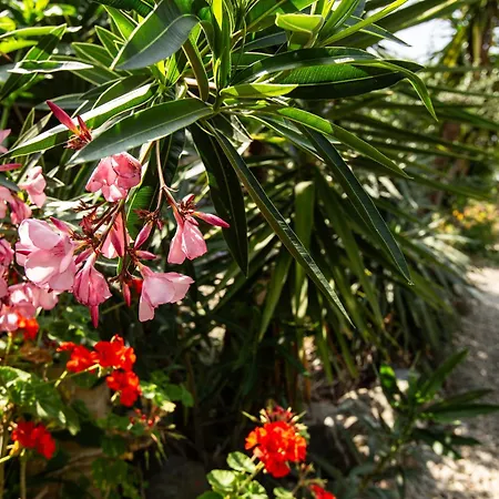 Di Sognu Holiday home