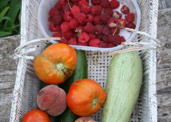 Di Sognu Casa de Férias *