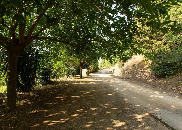 Di Sognu Casa de Férias Costa