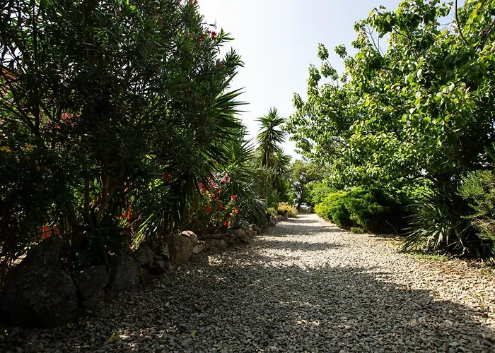 Casa de Férias Di Sognu Costa