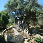 Di Sognu Holiday home Costa