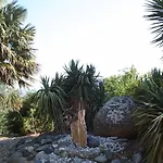 Di Sognu * Costa