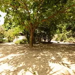 Di Sognu