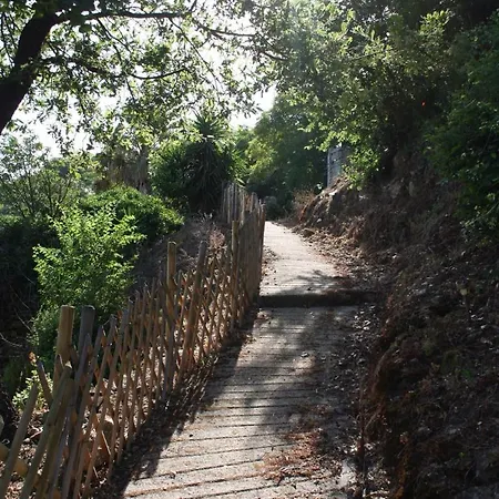 Di Sognu