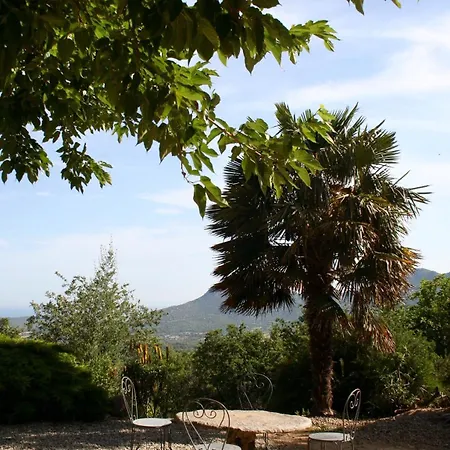 Di Sognu * Costa