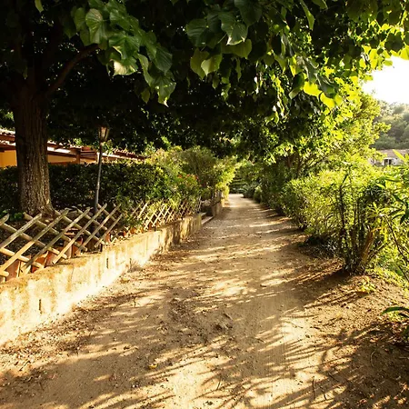 Di Sognu Costa