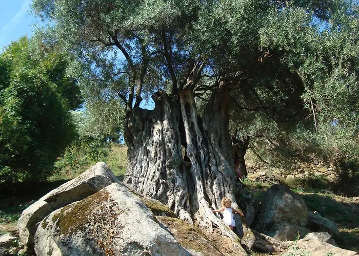 Di Sognu Vakantiehuis Costa