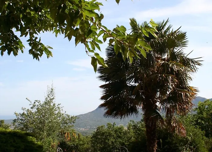 Di Sognu * Costa