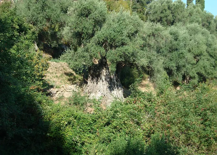 Vakantiehuis Di Sognu Costa