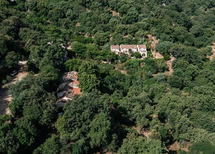 Di Sognu * Costa