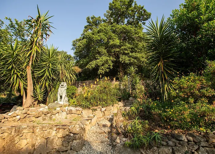 Vakantiehuis Di Sognu *