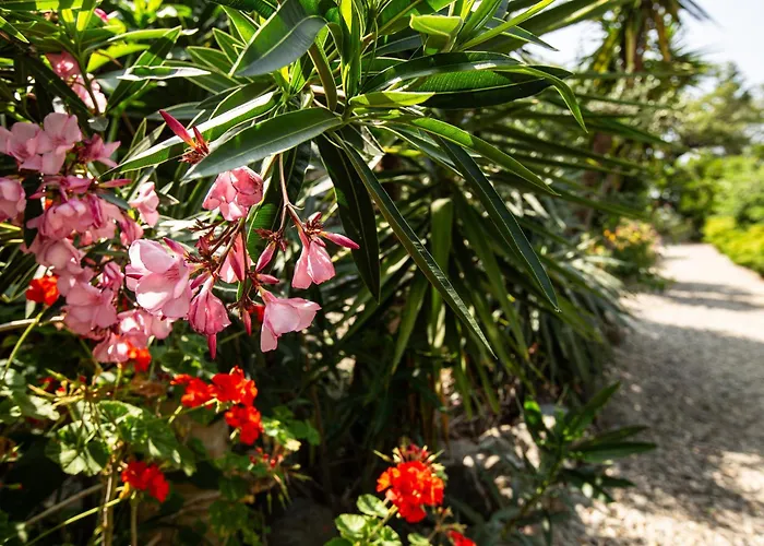 Di Sognu Vakantiehuis