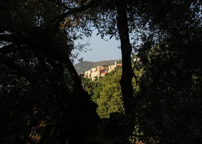 Di Sognu Vakantiehuis